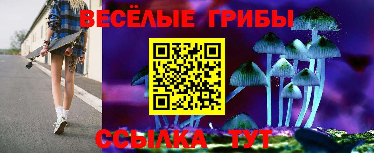 Сегежа  где можно купить   Вход с VPN  Галлюциногенные грибы прущие грибы 